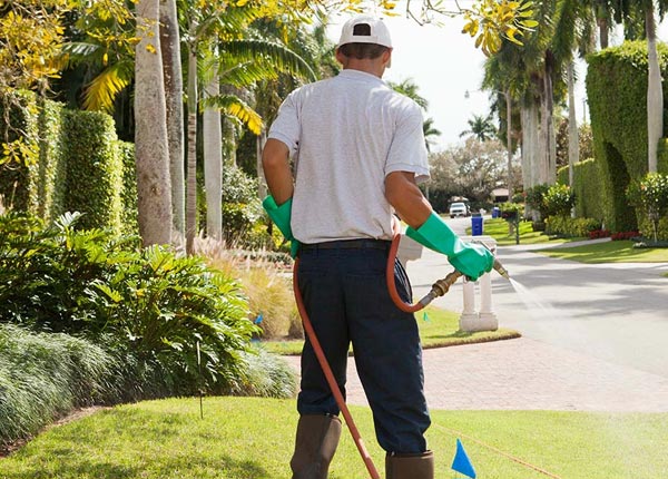 About Zionhill PA Pest Control Pros